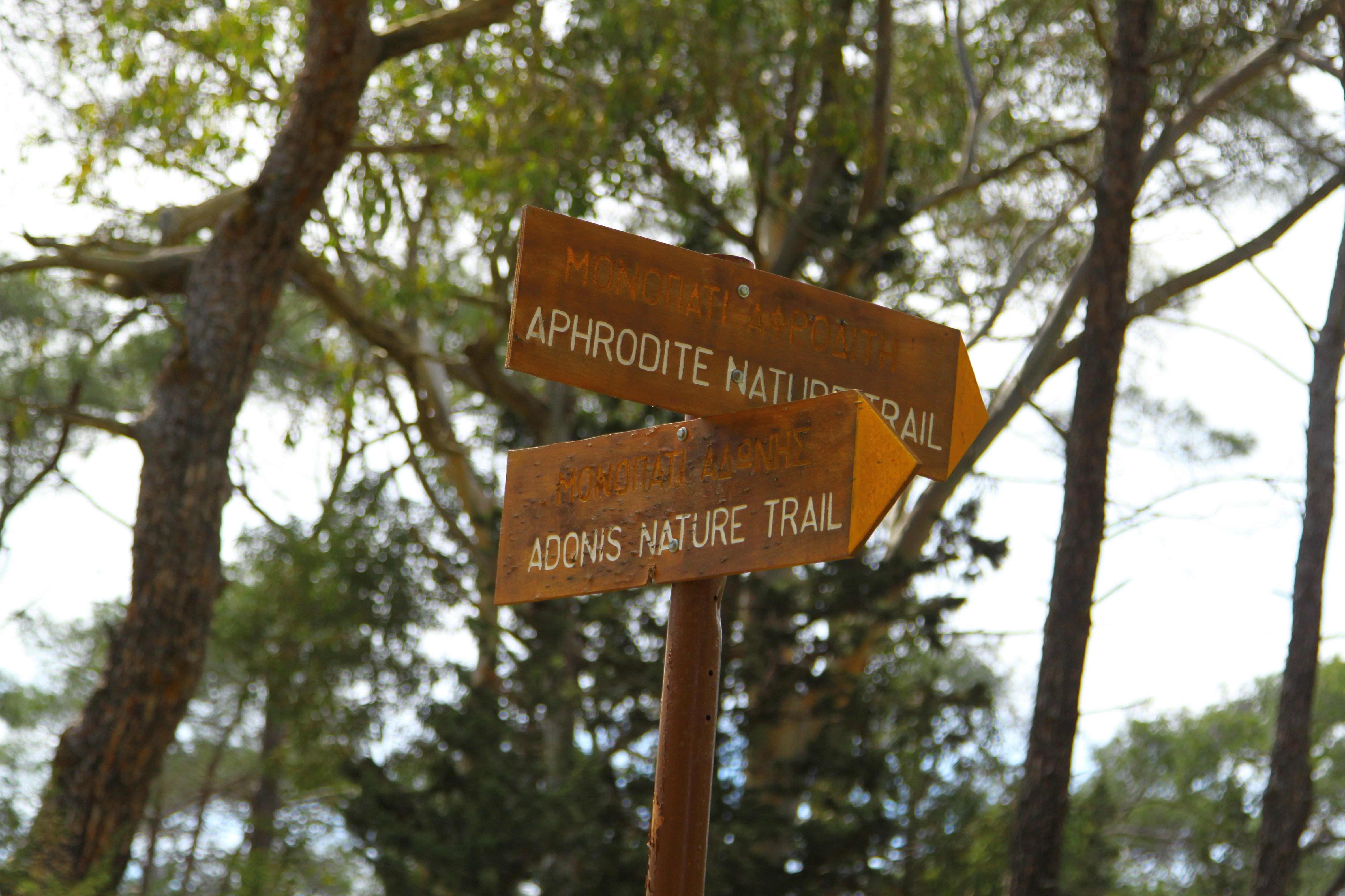 walking guidebook
