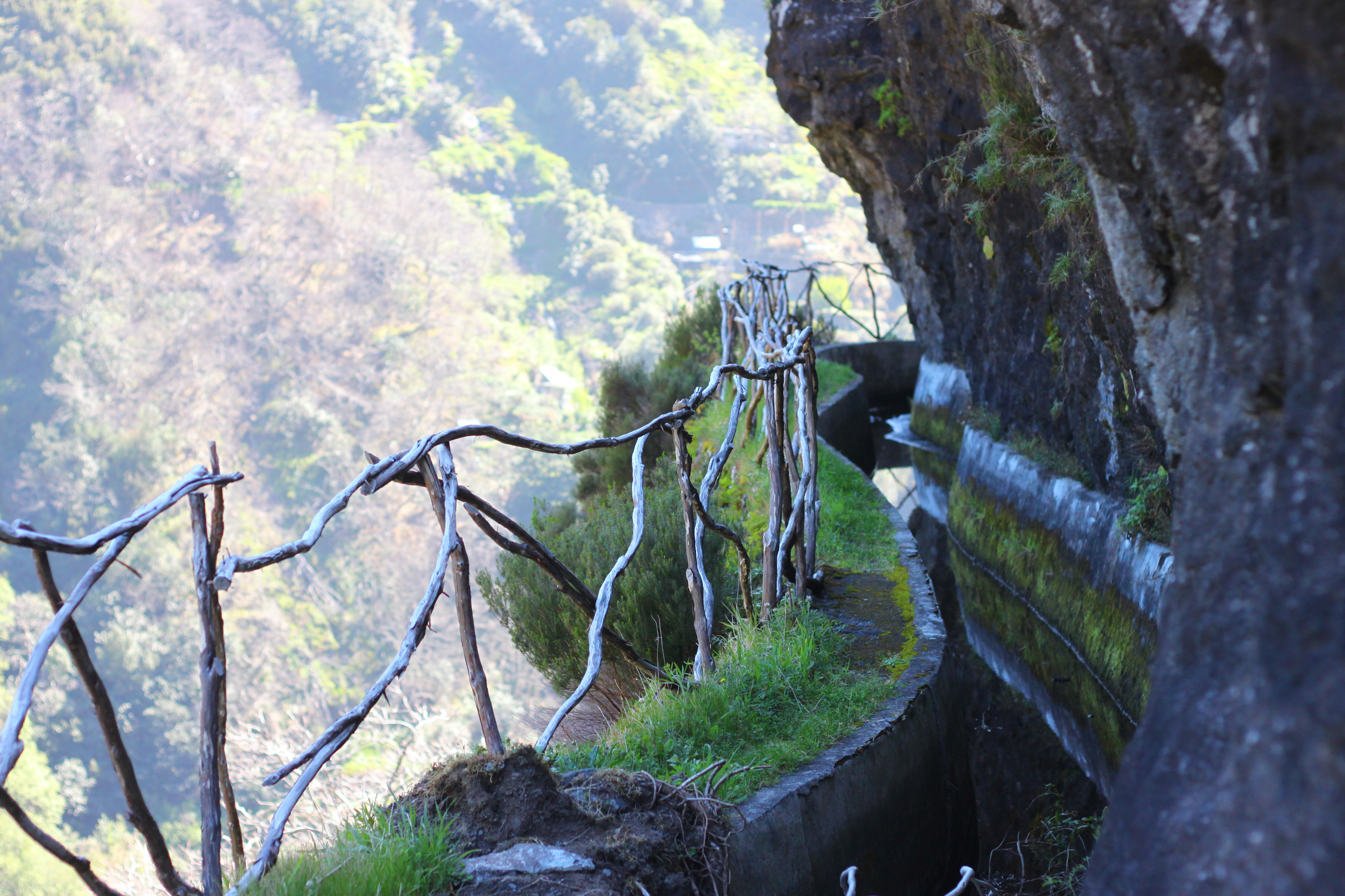 Levada walk in Madeira Levada walk in Madeira
