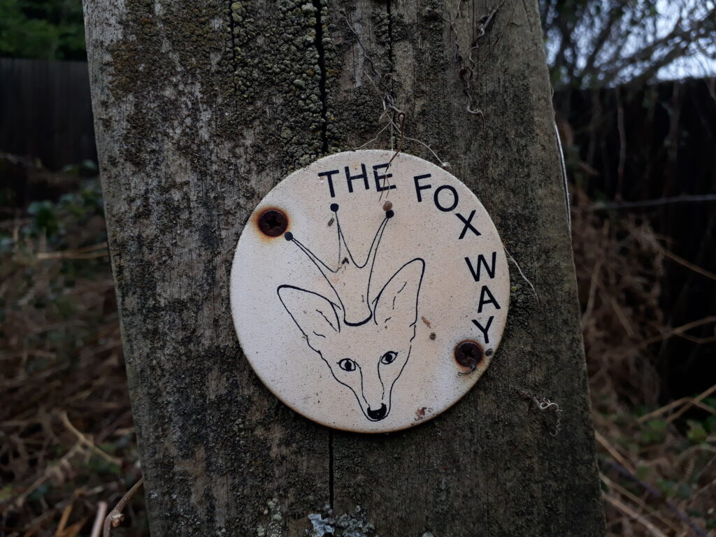 The Fox Way The Fox Way