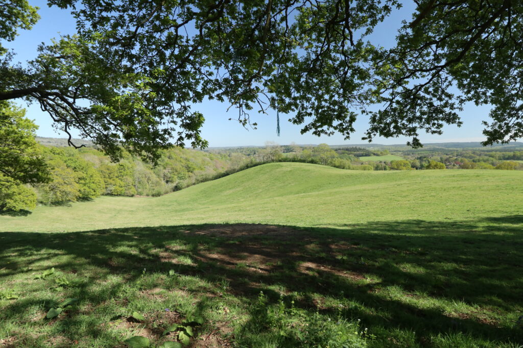 Downs Link Downs Link