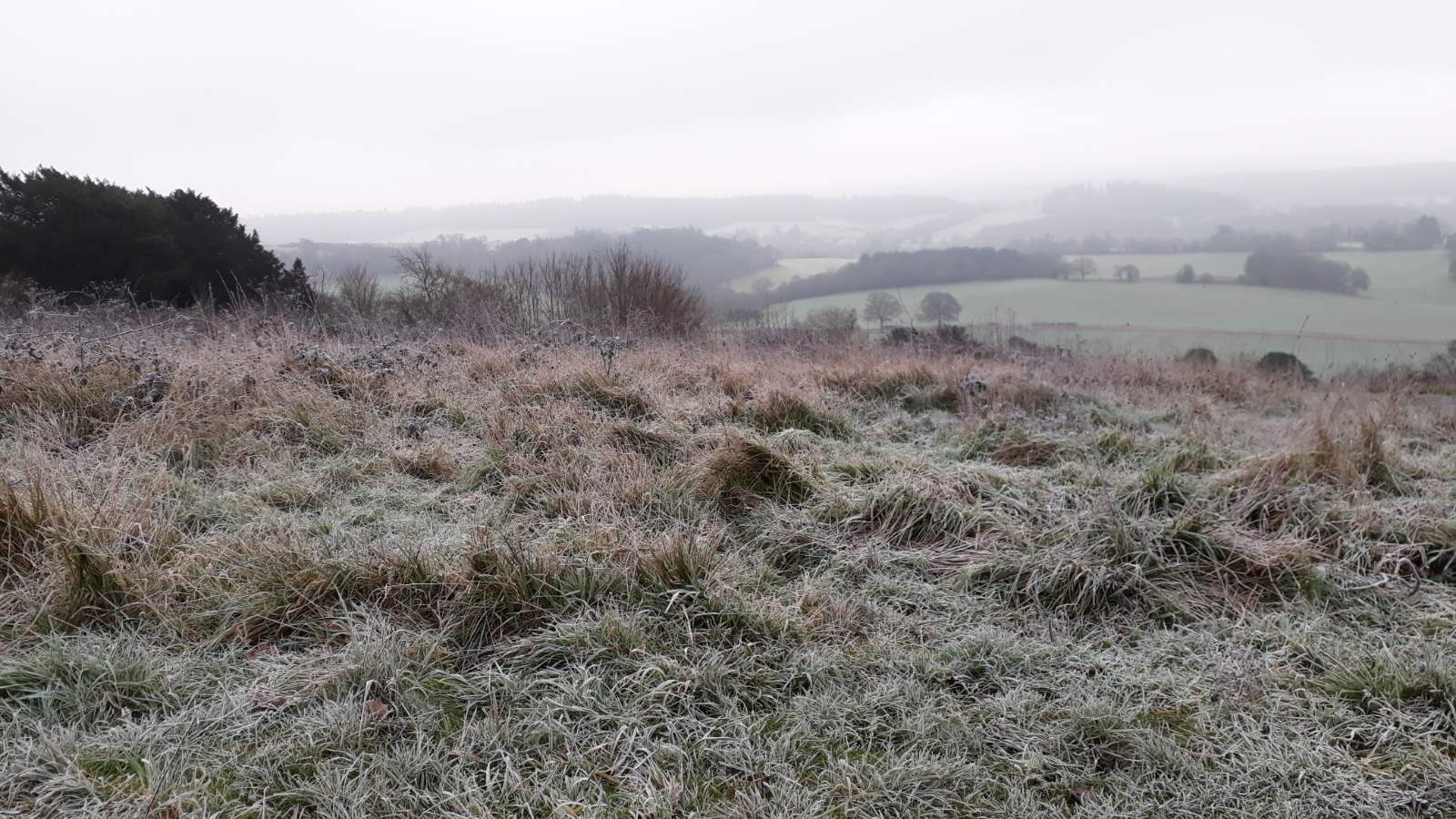 North Downs Way
