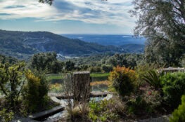 Stay rural at VilaFoia in the Algarve